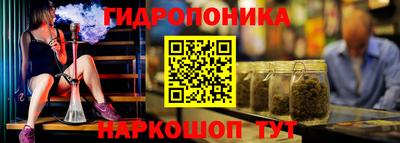 прущие крисы Братск