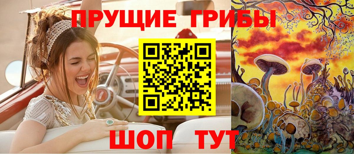 Псилоцибиновые грибы мухоморы  Псилоцибиновые грибы мухоморы  Вход с VPN  наркота  Владивосток 